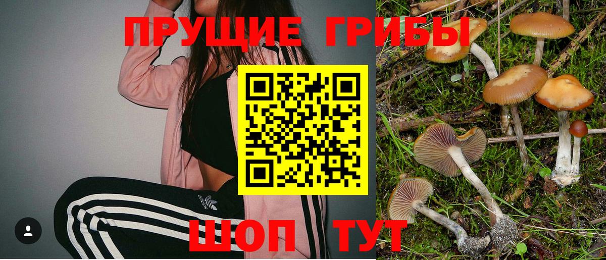 Полевской  Галлюциногенные грибы Psilocybe  Псилоцибиновые грибы мицелий  Вход с VPN 
